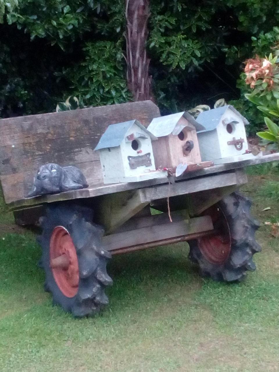 4 ピークス モーテル ジェラルディン エクステリア 写真